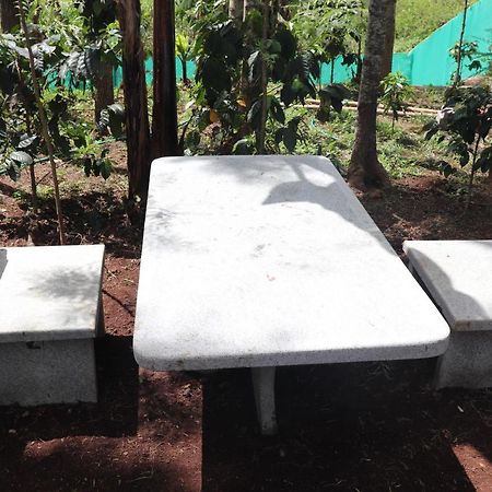 Pine Villa Garden Yercaud Extérieur photo